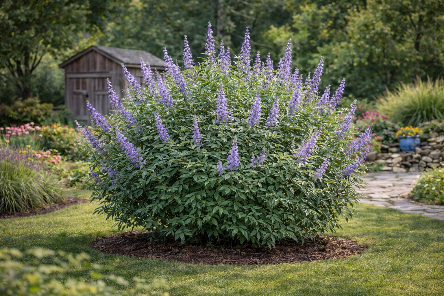 3D kert látványterv – AR bemutató - barátcserje